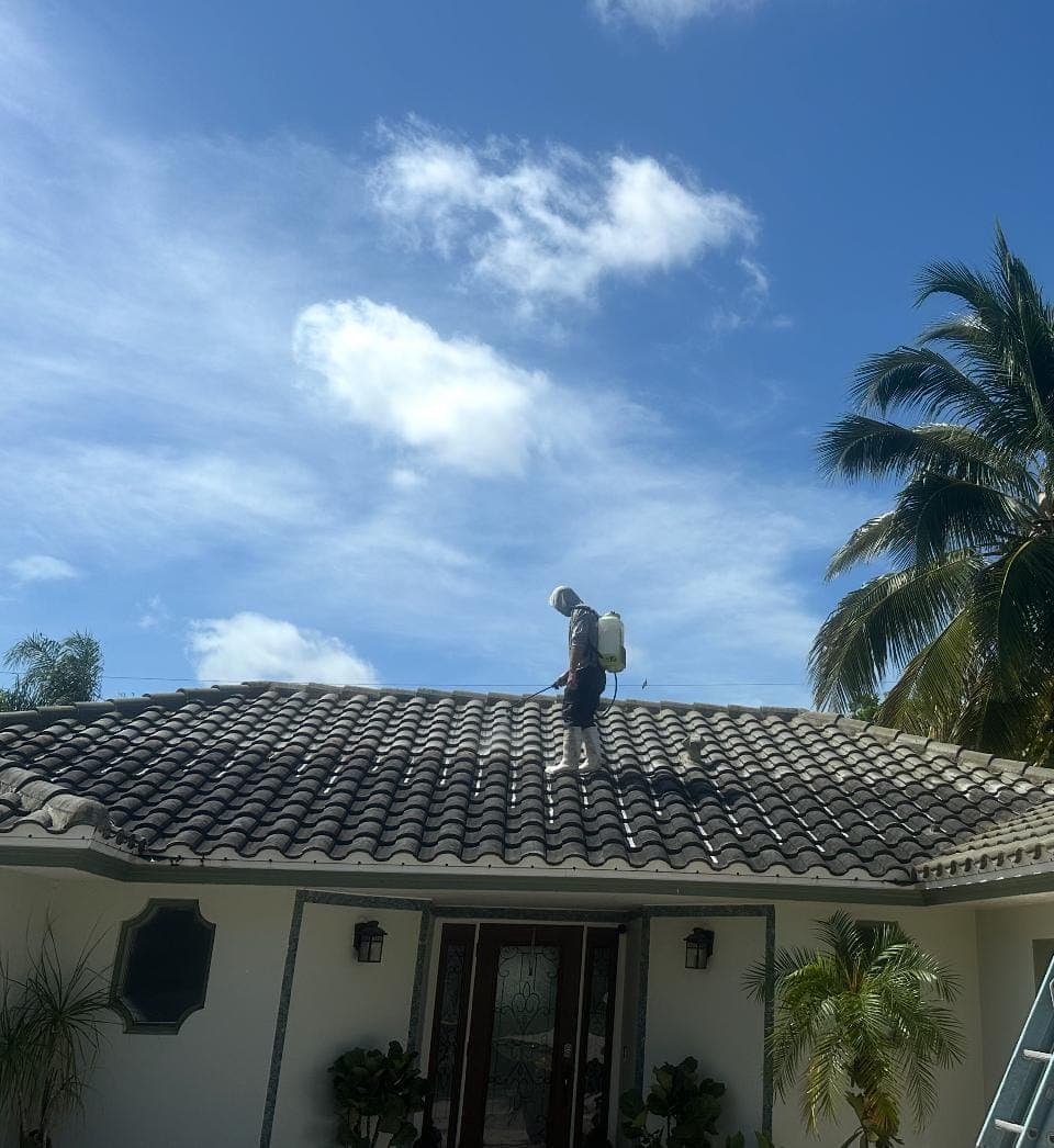 Rooftop soft wash