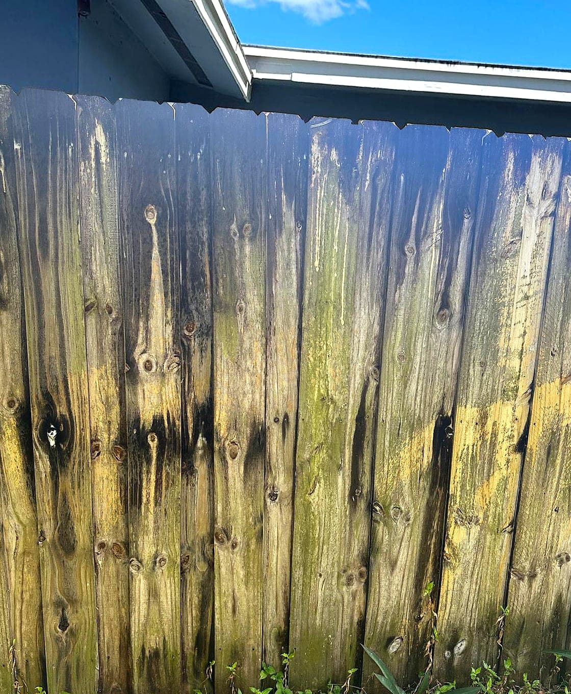 Grey, algae-streaked South Florida wood fence before soft washing